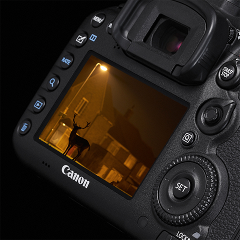 Détails de la photographie en basse lumière